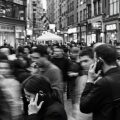 Autoridad vs opinión: El colapso de la jerarquía cognitiva